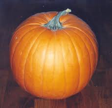 pumpkin1 Helvacıkabağı