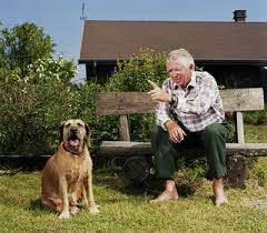 Dog Pictures