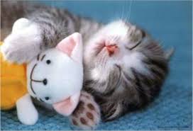 sommeil2_1.jpg