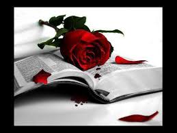 http://tbn2.google.com/images?q=tbn:ljhOpFiQ1ZpUlM:http://www.al-anwar.net/gallery/albums/userpics/10001/catarinav3.jpg