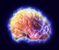 http://tbn2.google.com/images?q=tbn:mUmOz_SMSIyqhM:http://img132.imageshack.us/img132/9738/electricbrainso9.jpg