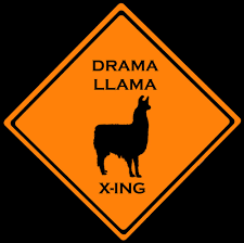 DRAMA%2520LLAMA.jpg