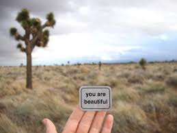 The art project You