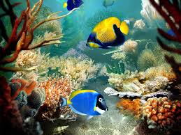 Foto di underwater - hip2b2