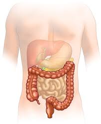 tumore colon retto g Fiemme e Fassa: Screening per il tumore al colon