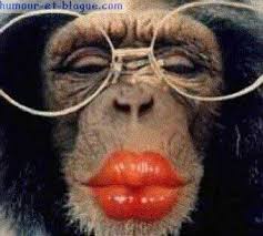 http://tbn2.google.com/images?q=tbn:qbqmm3feA9J6LM:djybab.aliceblogs.fr/bisous.jpg