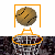 http://tbn2.google.com/images?q=tbn:rgkGA4nBLyUP7M:http://www.fnrtop.com/vb/arcade/images/quickshot1.gif