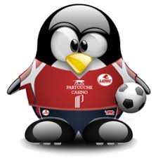 http://tbn2.google.com/images?q=tbn:s3hGd4SwlF_k4M:http://tux.crystalxp.net/png/myfoot-lille-13218.png