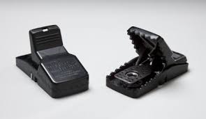 external image 1240182147MiniRex%255B1%255D.jpg