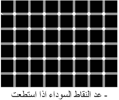 untitled4