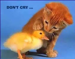http://tbn2.google.com/images?q=tbn:xWyejqhdD8D9fM:http://img.blogcu.com/uploads