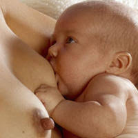 Гърдите и кърменето - началото