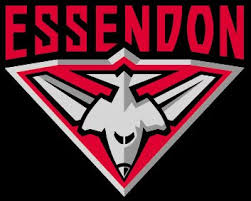 external image essendon.jpg external image essendon.jpg