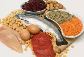 protien diets