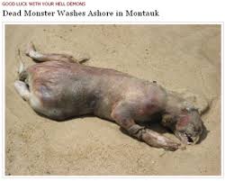 Original Montauk Monster story from 