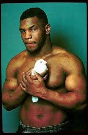 Com Gallery - mike tyson pigeon