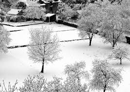 neige%2520corse2.JPG
