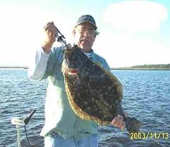 jameshoward-flounder-web-size.