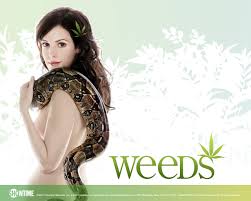 La série Weeds en streaming , trailer de série tv en streaming La série Weeds en streaming , trailer de série tv en streaming
