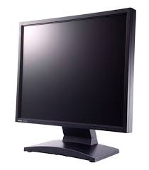 Web cast monitor