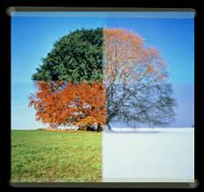 Ver imagen en tamaño completo