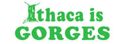 Visit Ithaca
