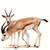 http://tbn2.google.com/images?q=tbn:T0ju9Mfg7lKJDM:http://www.mekshat.com/vb/images/avatars/13.gif