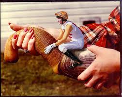 Wierdest Food - Gooey Duck - The