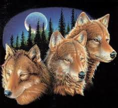 wolven