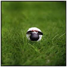      Shaun The Sheep Shaun__the_black_headed_sheep_by_lorseau