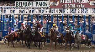 2008 Belmont Stakes Preview