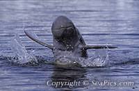 See full size image