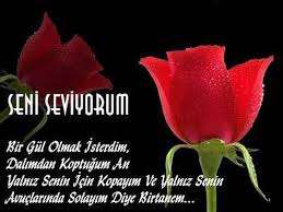 http://tbn2.google.com/images?q=tbn:sP82sgtwtQk5NM:http://img2.blogcu.com/images/s/i/i/siirselblog/1235206600siir6ee.jpg
