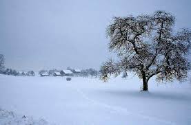 الشتاء غنيمة العابدين Tree-winter-village