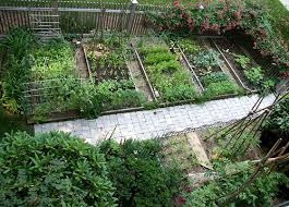 Vegetable Garden