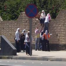 اضغط على الصورة لرؤيتها بالحجم الطبيعي