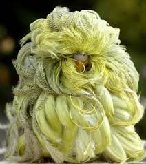 ��� ���� ������ ������ ������ ����� ����� ���� ������� �����