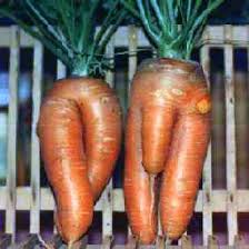 carrot-man-and-woman.jpg